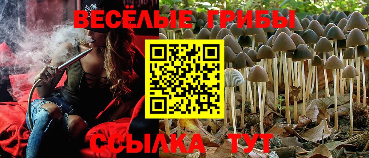 Гагарин  Псилоцибиновые грибы мухоморы  Вход с VPN 