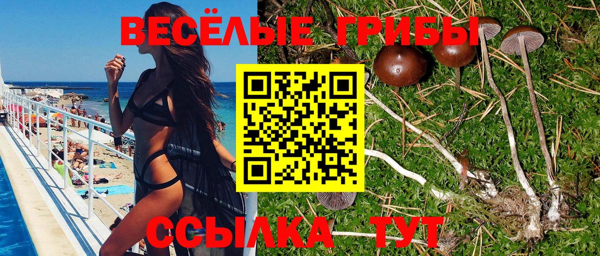 Галлюциногенные грибы Cubensis Гагарин